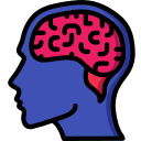 brain